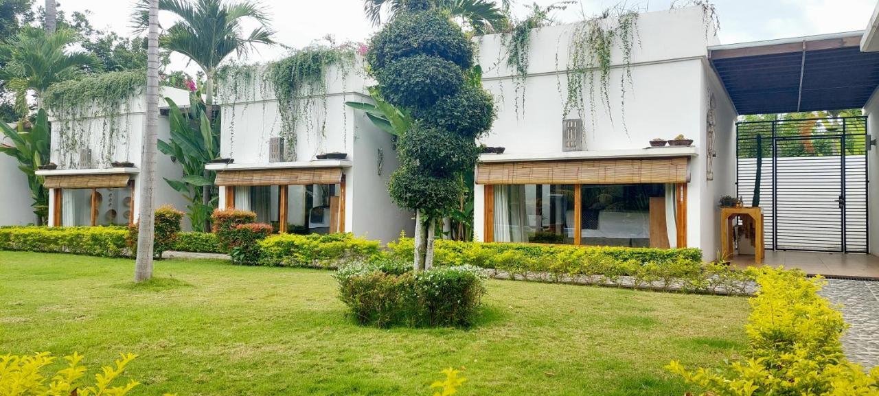 Bed and Breakfast The Edicha Lovina Exterior foto